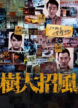 一切从遇见你开始